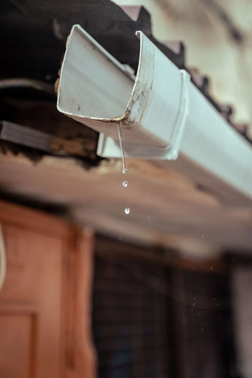 Water dripping from the end of a white gutter where the joint has started to leak