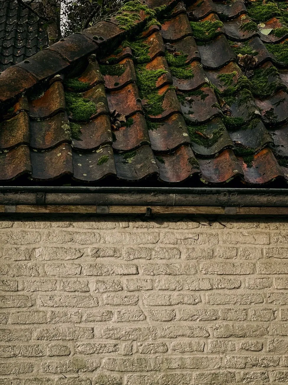 Moss growing between old clay roof tiles above a weathered brick wall